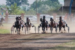 Horse,Race,At,Hippodrome